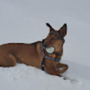 Meet your Posher, Alena